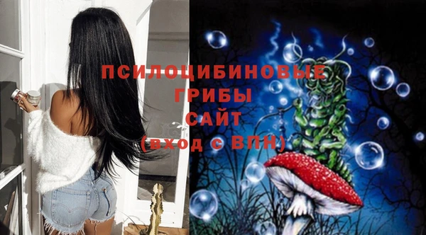 марки lsd Няндома