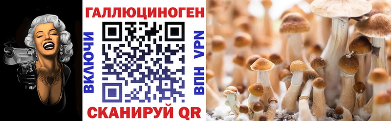 ссылка на мегу вход  Анапа  Галлюциногенные грибы MAGIC MUSHROOMS 