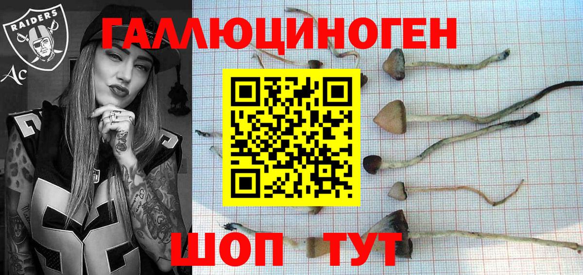 Псилоцибиновые грибы Psilocybe Анапа