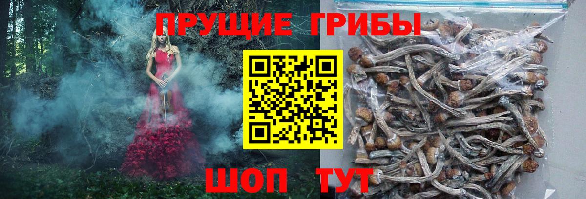 Псилоцибиновые грибы GOLDEN TEACHER  закладки  Анапа  Вход с VPN 