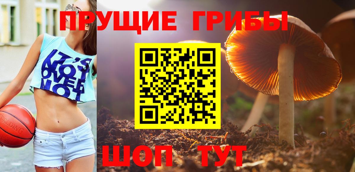 Псилоцибиновые грибы Magic Shrooms  закладка  Галлюциногенные грибы прущие грибы  Анапа 