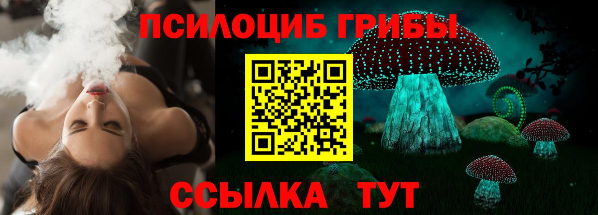 Галлюциногенные грибы Psilocybine cubensis Анапа