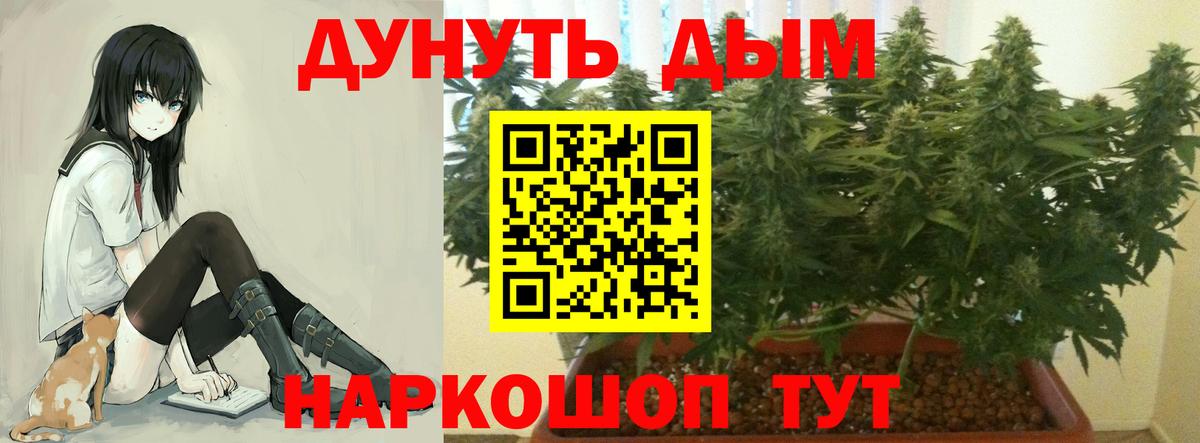Анапа  Бошки марихуана VHQ  Вход с VPN  Конопля индика  Каннабис White Widow 